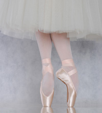 energetiks pointe shoes