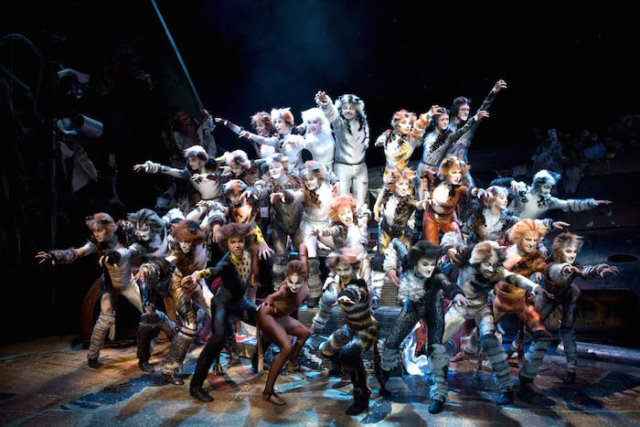 CATS the musical