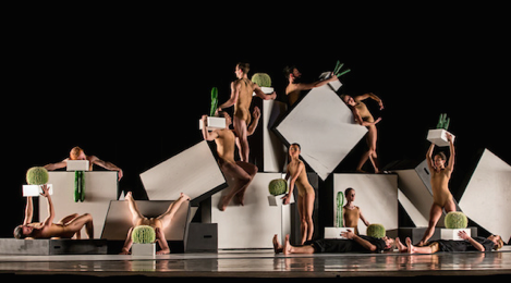 Sydney Dance Company’s CounterMove program featuring Cacti