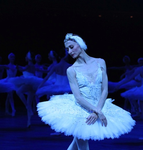 Daria Klimentová in Swan Lake