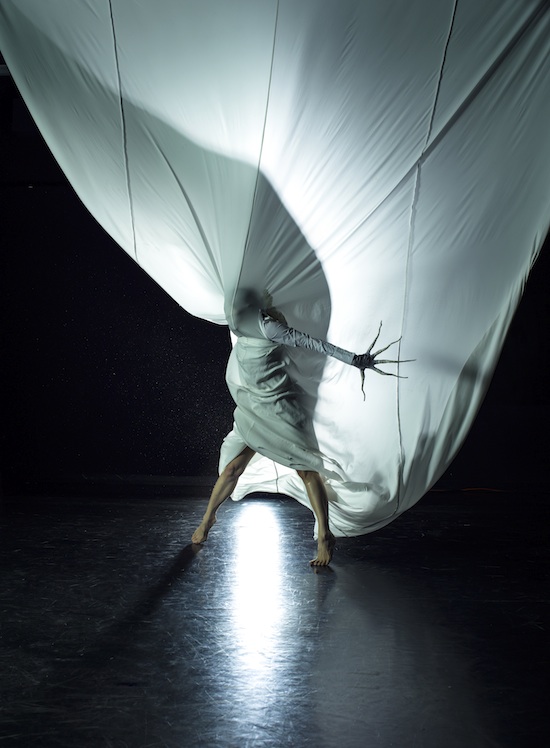 A Delicate Situation by choreographer Lina Limosani