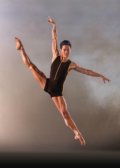 Houston Ballet's 2013-14 season