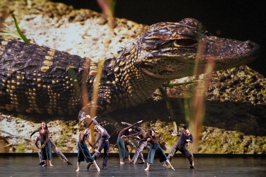 Parsons Dance in 'Dawn to Dusk.' Photo by Scott Suchman.