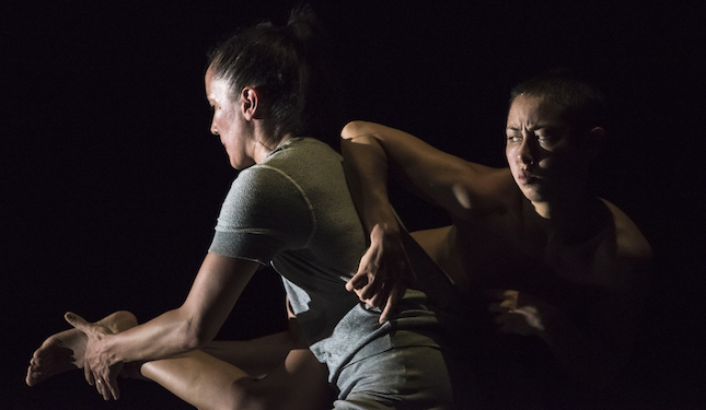 Melanie Lane and Lilian Steiner