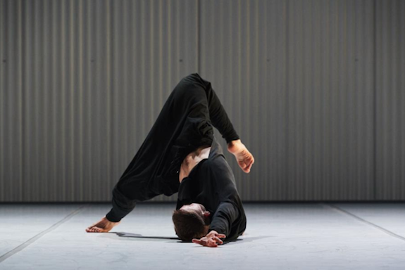 Western Australia’s contemporary dance company