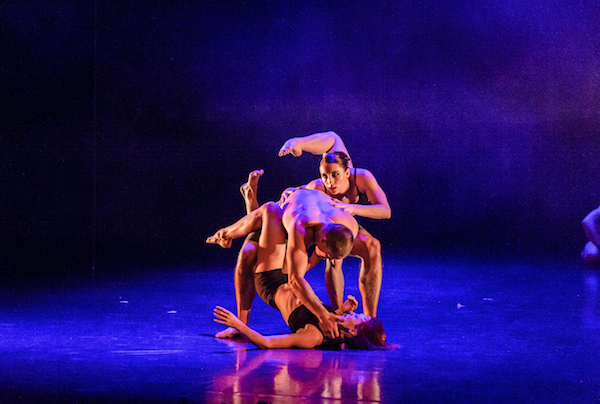 Expressions Dance Company. Photo by Chris Herzfeld.