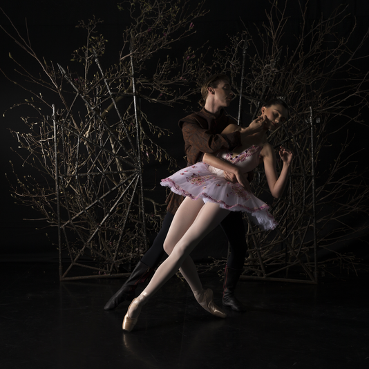 The Sleeping Beauty at Darebin Arts & Entertainment Centre