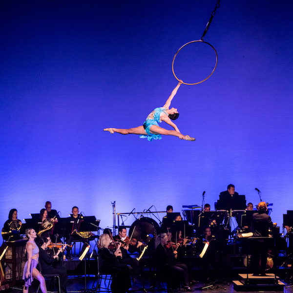 Symphony Cirque Series