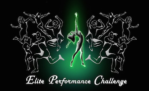 Elite Performance Challenge